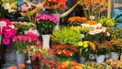 Local comercial en alquiler en Calle del Alcalde Marchesi, 30 - Vista 5