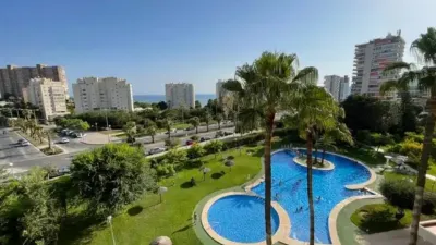 Pis – Alicante - Alacant - Vista 3