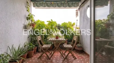 Apartment in Prosperidad photo 4