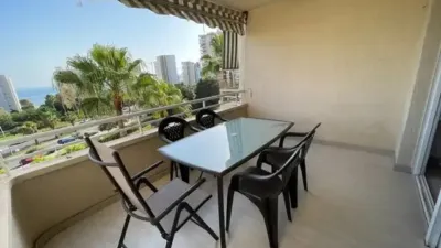 Pis – Alicante - Alacant - Vista 5