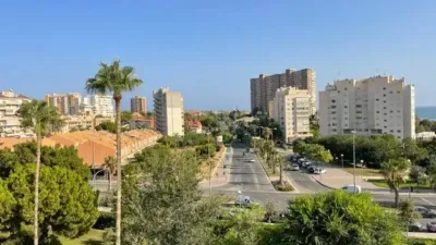 Pis – Alicante - Alacant - Vista 4