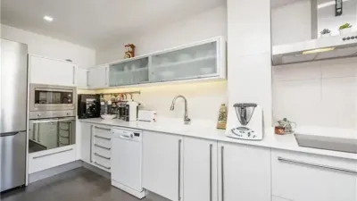 Apartment in Santa Catalina photo 5