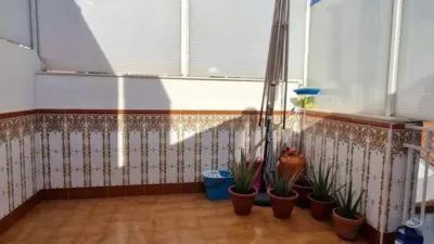 Duplex in Plasencia photo 21