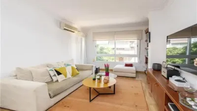 Apartment in Santa Catalina photo 3