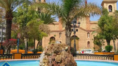 Apartment in Playa del Cura photo 17
