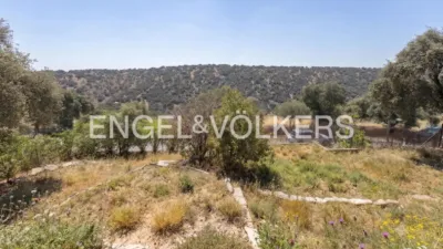 House in Valdemorillo photo 27