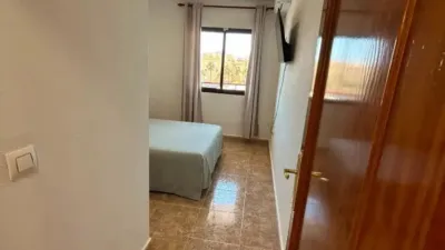 Apartment in Cabo Roig-La Zenia-La Regia photo 14