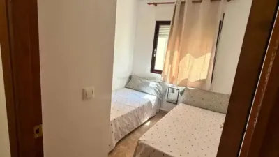 Apartment in Cabo Roig-La Zenia-La Regia photo 23
