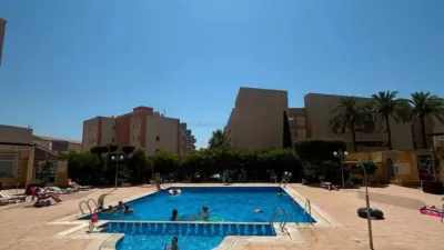 Apartment in Cabo Roig-La Zenia-La Regia photo 25