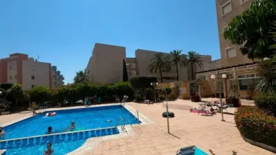 Apartment in Cabo Roig-La Zenia-La Regia photo 22