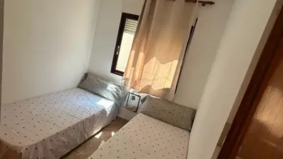 Apartment in Cabo Roig-La Zenia-La Regia photo 38