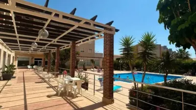 Apartment in Cabo Roig-La Zenia-La Regia photo 26