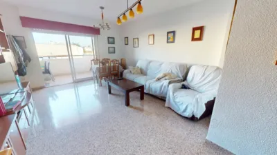 Pis – el Campello, el Vincle, Urbanització L'Almadrava - Vista 2