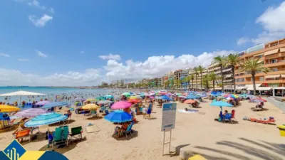 Apartment in Playa del Cura photo 40
