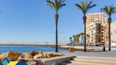 Apartment in Playa del Cura photo 47