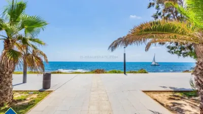 Apartment in Playa del Cura photo 21