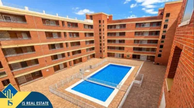 Pis – Torrevieja - Vista 2