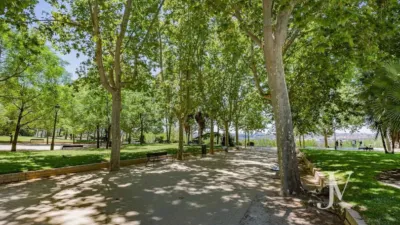 Apartment on Paseo del Pintor Rosales photo 29