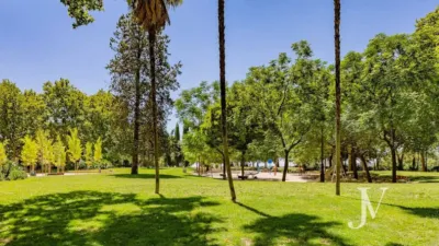 Apartment on Paseo del Pintor Rosales photo 27