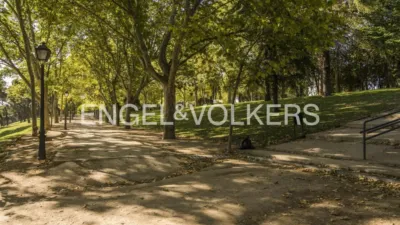 Apartment in San Isidro photo 25