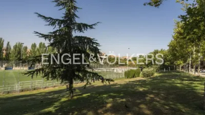 Apartment in San Isidro photo 24