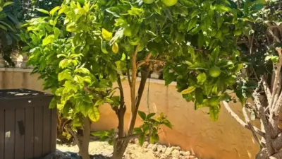 Bungalow for sale in Los Dolses-Montezenia-Lomas de Cabo photo 15