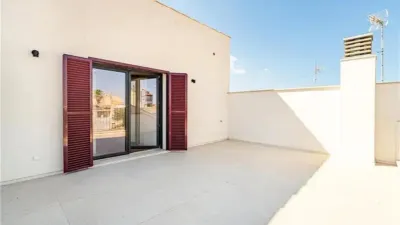 House in Campos photo 19