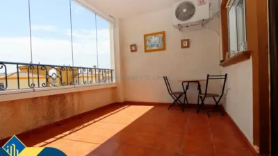 Piso – Orihuela - Vista 4