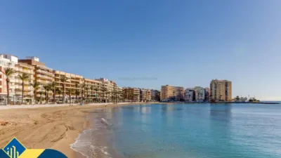 Apartment in Playa del Cura photo 29