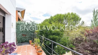 Semi-detached house in Bellavista-Salud y Alegría photo 15