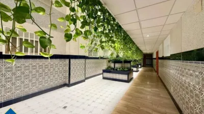 Apartment in Playa del Cura photo 41