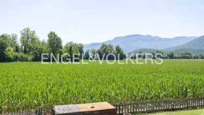 House in El Malloll photo 57