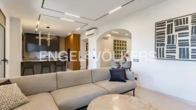 Villa in Bellamar photo 7