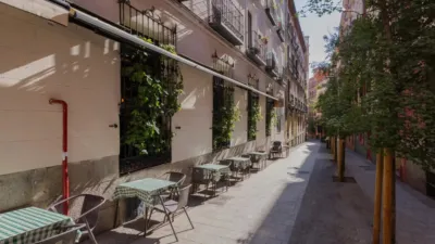 Estudio en calle del Álamo photo 31