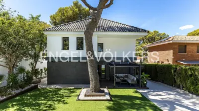 Villa in Bellamar photo 5