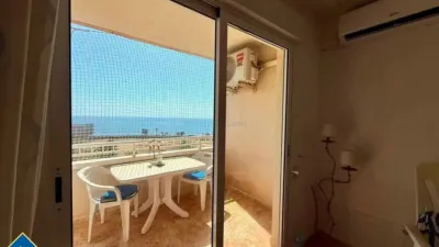 Apartment in Playa del Cura photo 6