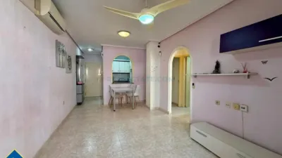 Pis – Torrevieja - Vista 5