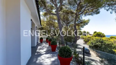 Villa in Bellamar photo 28