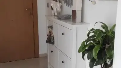 Apartment in Petrer photo 14