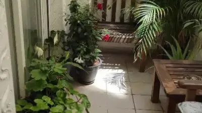 Apartment in Petrer photo 12