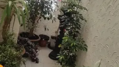 Apartment in Petrer photo 9