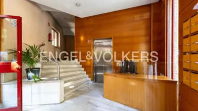Apartment in Palacio photo 24