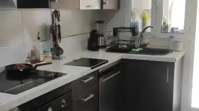 Apartment in Petrer photo 4