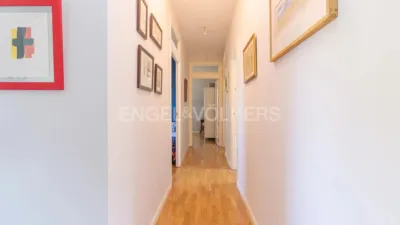 House in Pinosol-El Alcor-Peralejo photo 24