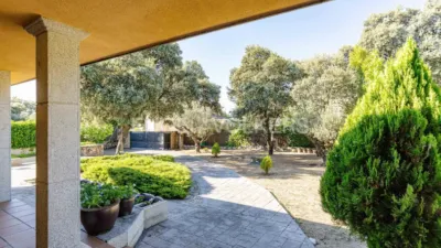 House in Pinosol-El Alcor-Peralejo photo 29