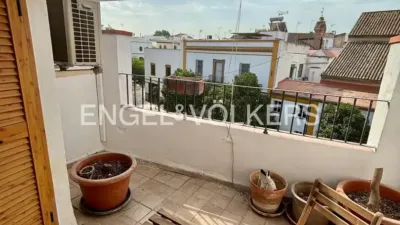 Townhouse in San Julián photo 9