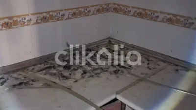 Casa en Elda photo 9