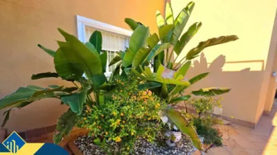 House in Dehesa de Campoamor-Aguamarina photo 44