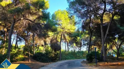 House in Dehesa de Campoamor-Aguamarina photo 36