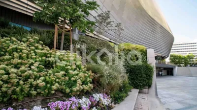 Apartment in El Viso photo 39